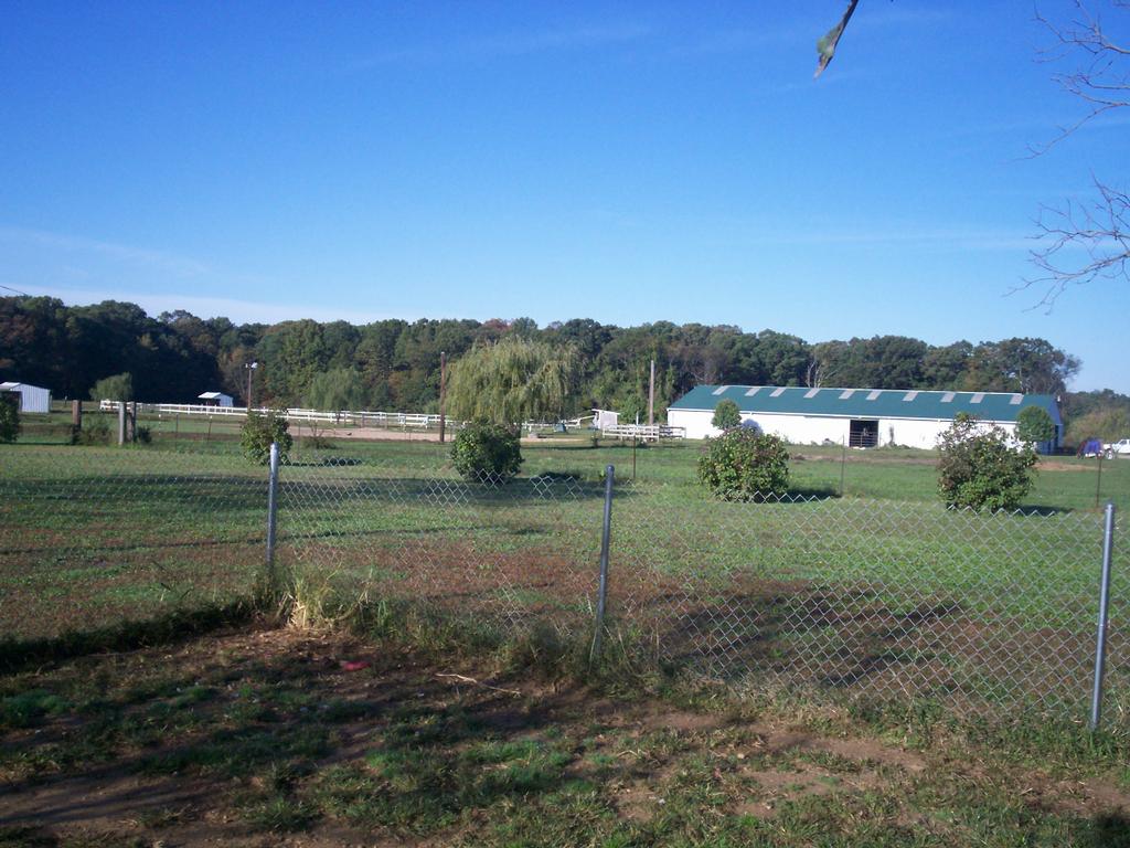 Circle D Farm Bridgeton NJ 08302 8565750496